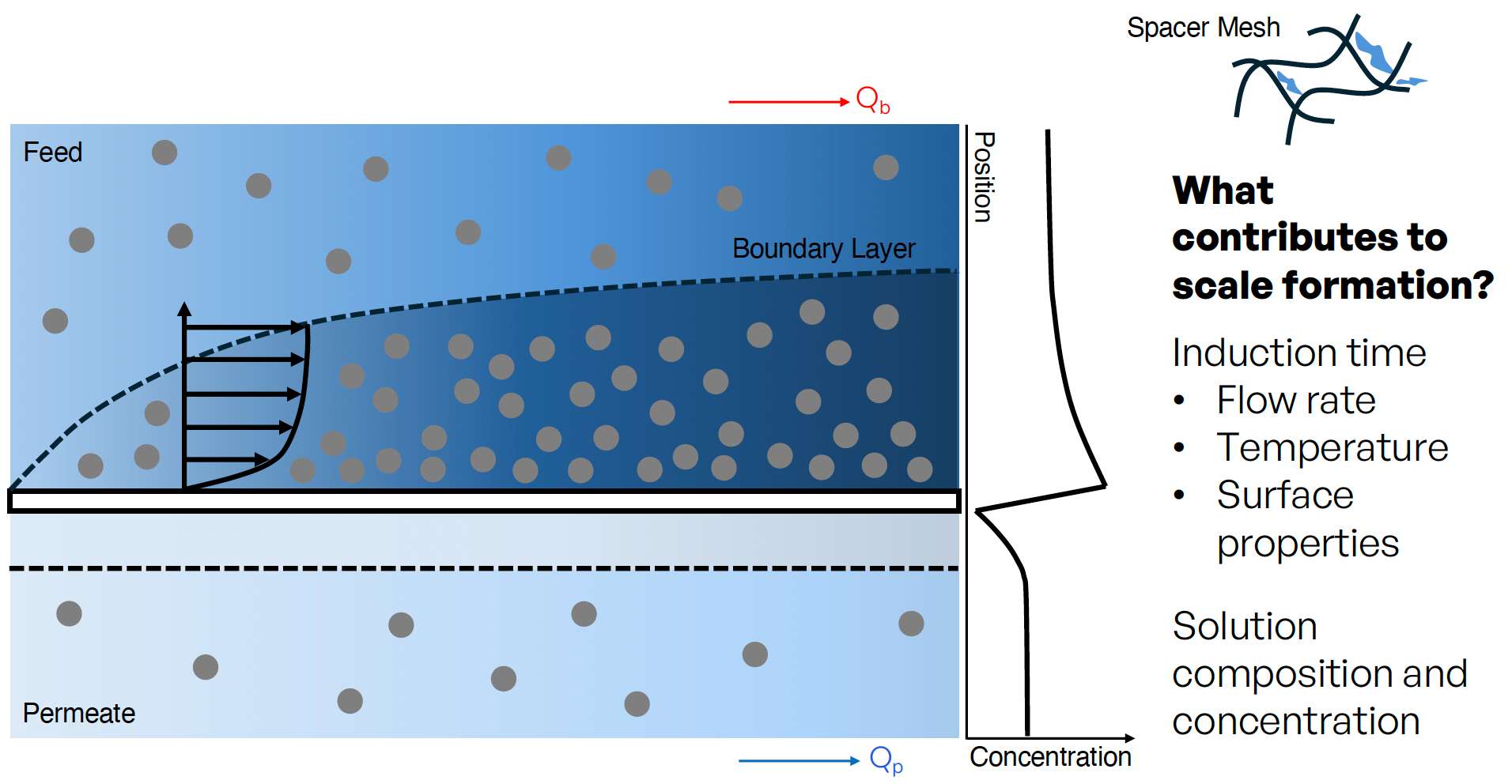 Conceptual Diagram